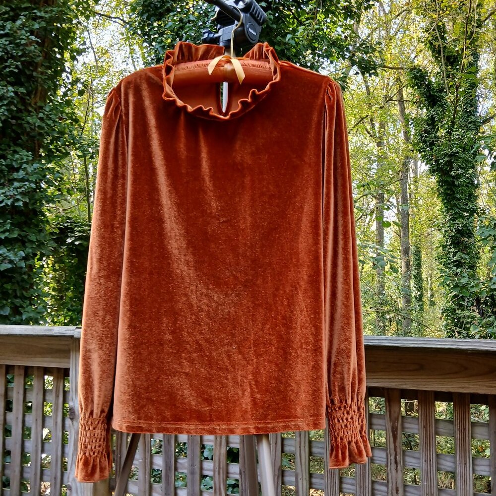 Romantic Rust Velvet Long Sleeved Shirred Wrists & Ruffled Cuss & Neck Top Sz M